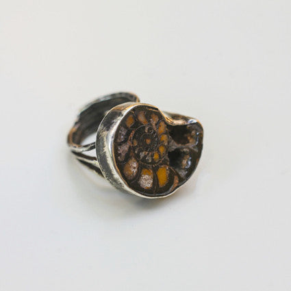 AMMONITE FOSSIL RING {silver}